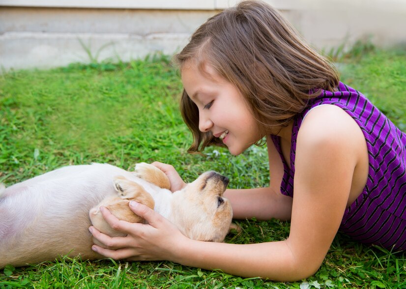 Is a Dog Mouth Cleaner Than a Human's