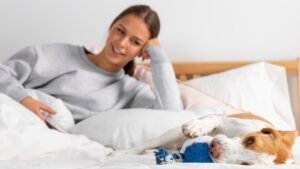 Dog Sleep With His Butt Towards Me