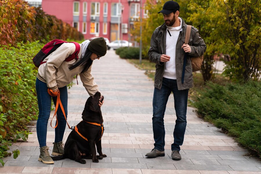 Why Do Dogs Bark at Strangers