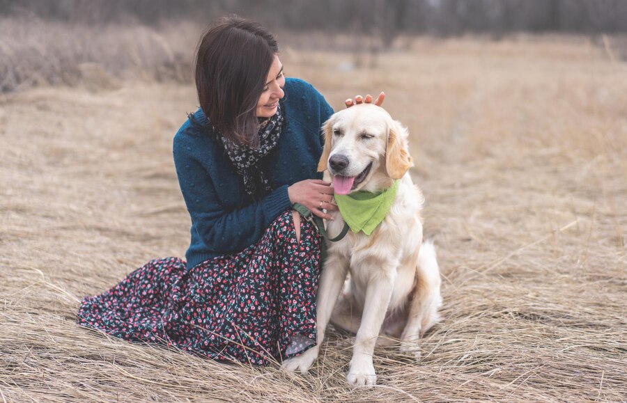 How Long before a Dog is Legally Yours