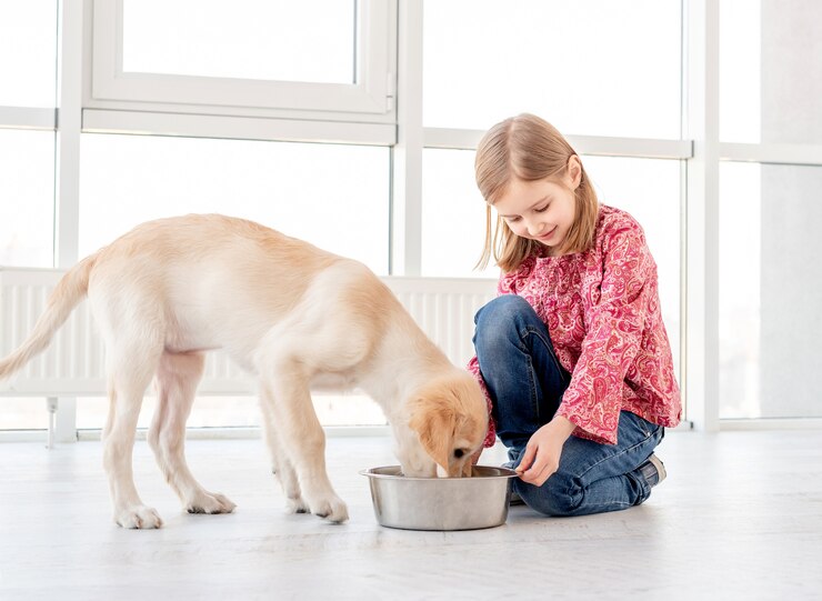 How Much to Feed a Labrador Retriever Puppy