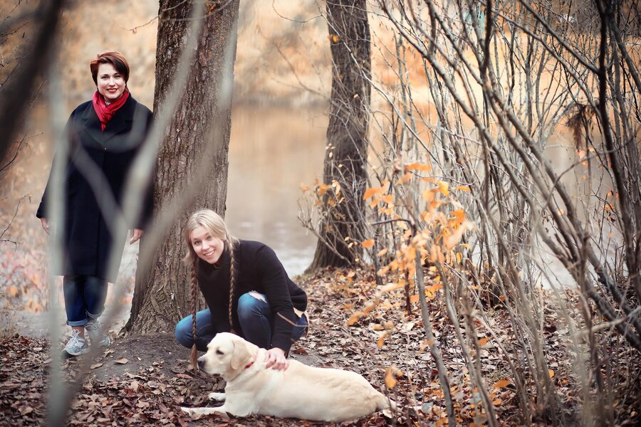 How Soon Can I Walk My Dog After Neutering