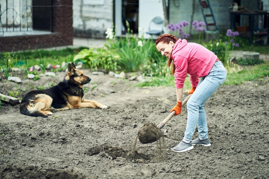 How to Deter Dogs from Pooping in Your Yard, Strategies