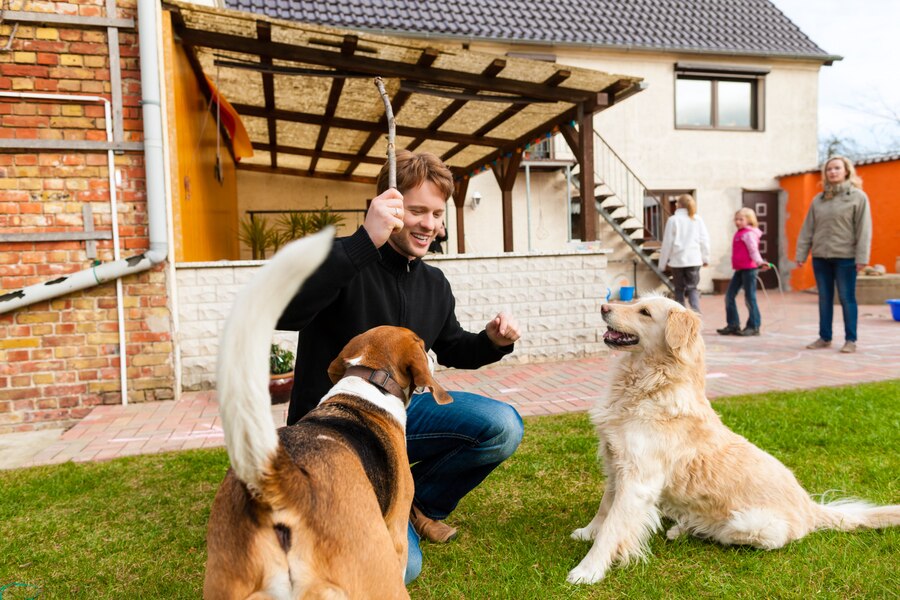 How to Keep Neighbors Dog Out of My Yard