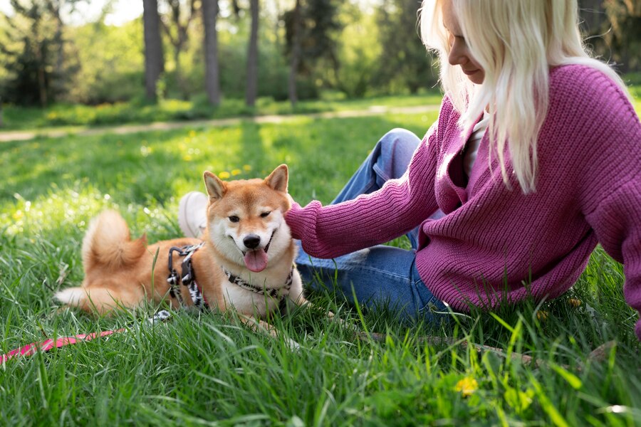 What Does It Mean When a Dog Winks at You