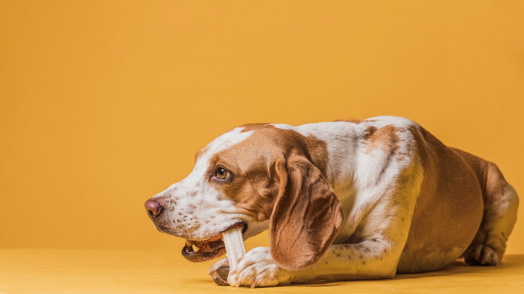 Are Nylon Bones Safe for Dogs, Expert Safety Tips