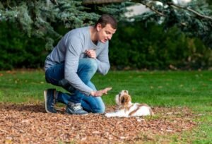 What Age to Start Dog Protection Training Expert advice.