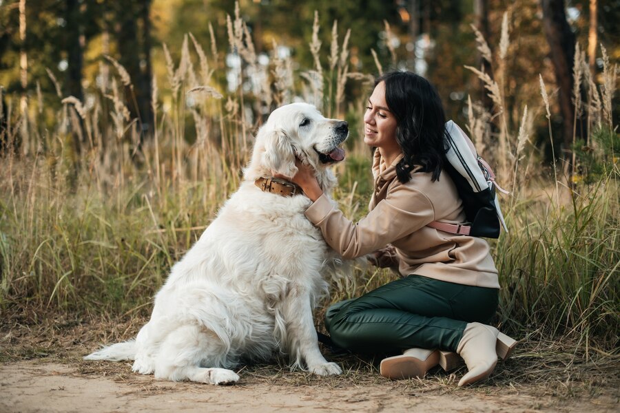 What a Great Dog Richardson, Tips for Dog Owners