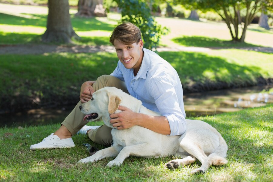 Why Do Dogs Scratch before They Lay down