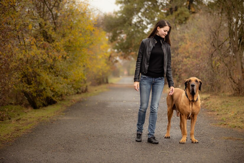 Why Do Dogs Walk Sideways