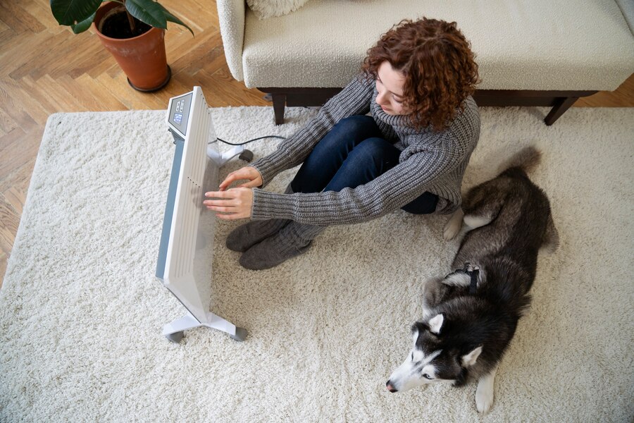 How to Keep Dog Cool in Summer Without AC, Expert Tips