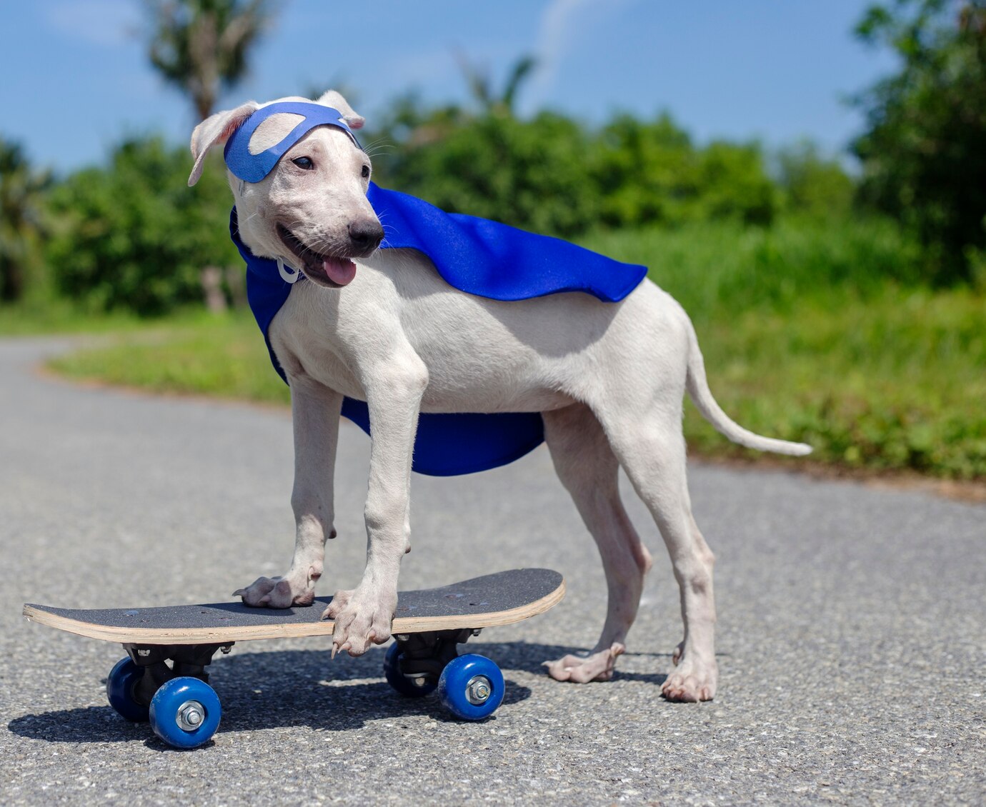 Super Bulldog Weekend 2025