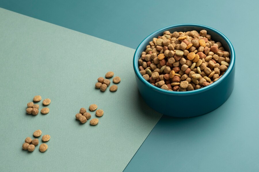 How to Get Ants Out of Dog Food, 7 Easy Solutions