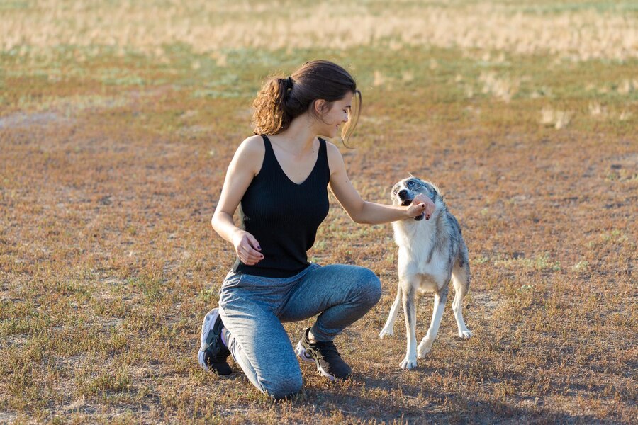 Can You Go to Jail If Your Dog Bites Someone