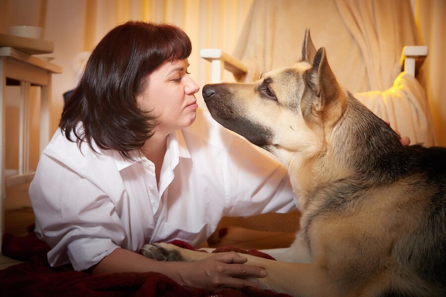 Neutered Dog Still Lock With a Female