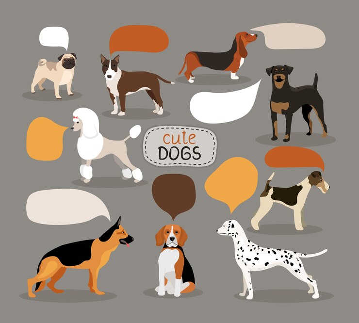 What Your Dog’s Breed Says About You