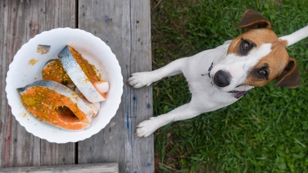 Dogs Eat Sardines With Bones