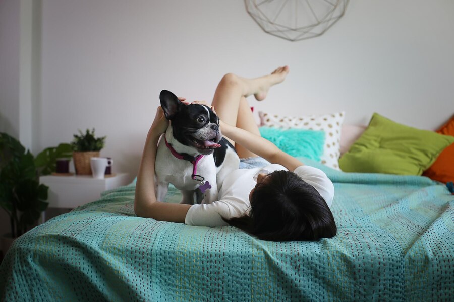 Why Does Dogs Lick Your Bed