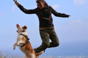 How to Fly With a Big Dog