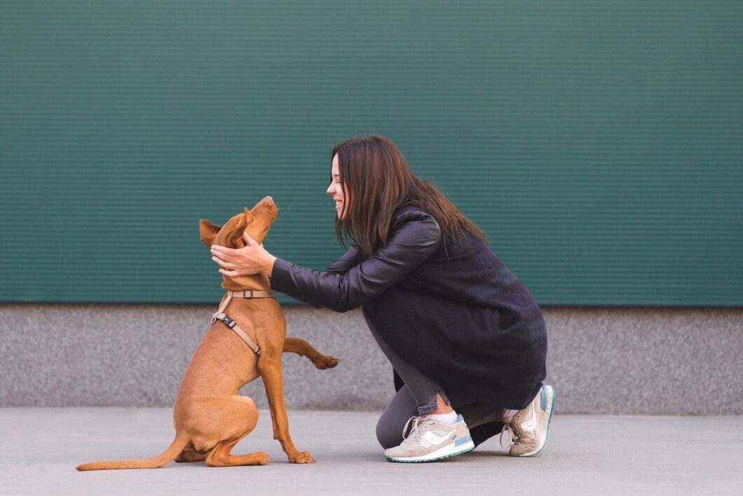 How Come Dog Doesn't Listen After Move