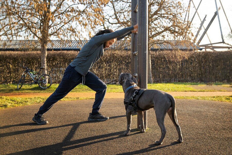 How Fast Can a Boxer Dog Kill You