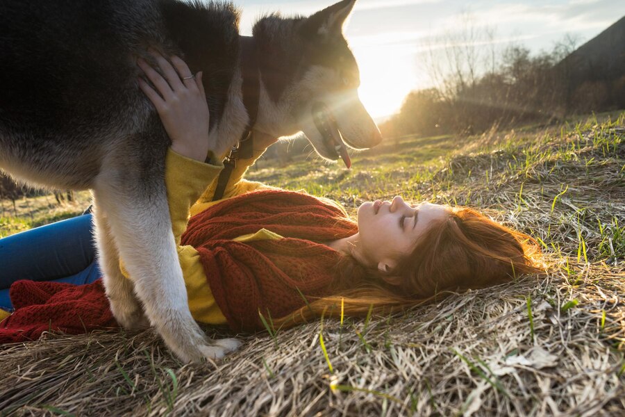 A Dog Biting You in a Dream