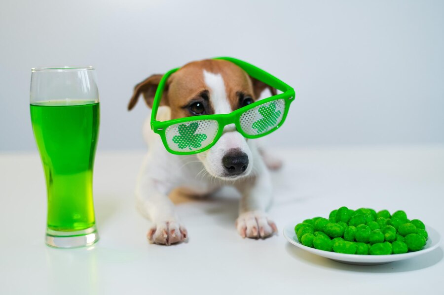 Can Dogs Eat Gushers