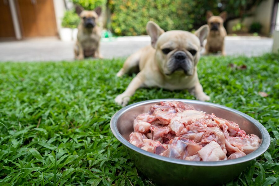 Can Dogs Have Raw Chicken Bones