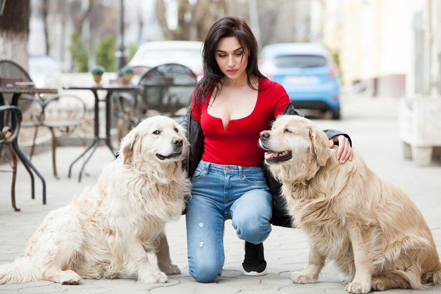 Are Female Dogs More Protective