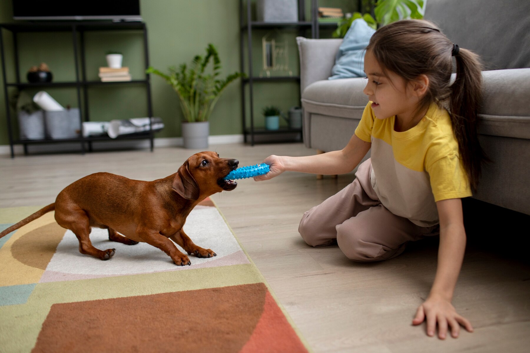 Why Do Dogs Nibble on Toys