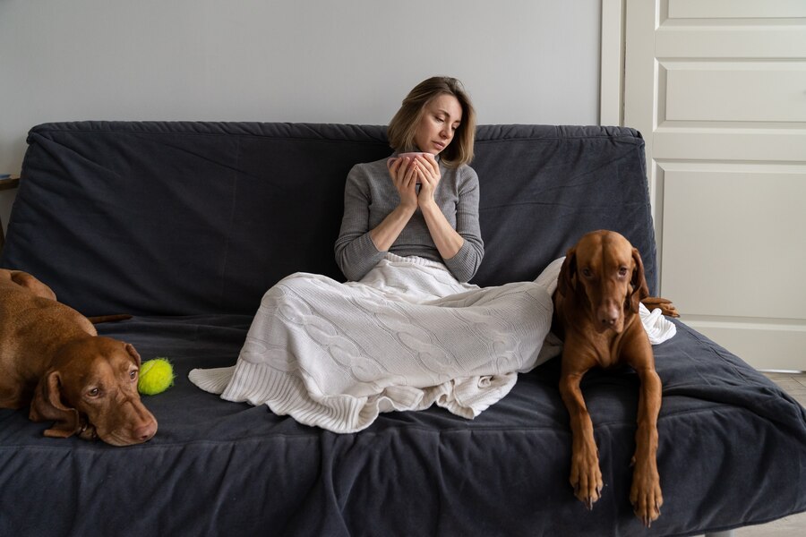 How to Get Dog Smell Out of Couch