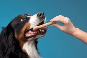 How to Prepare Deer Bones for Dogs