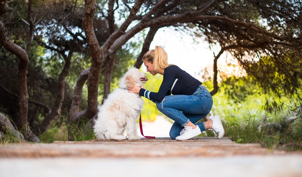 Why Do Dogs Tuck Their Tail