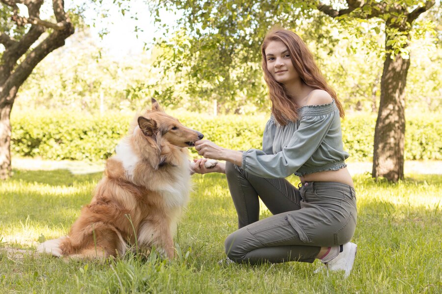 Why Does Your Dog Bows to You
