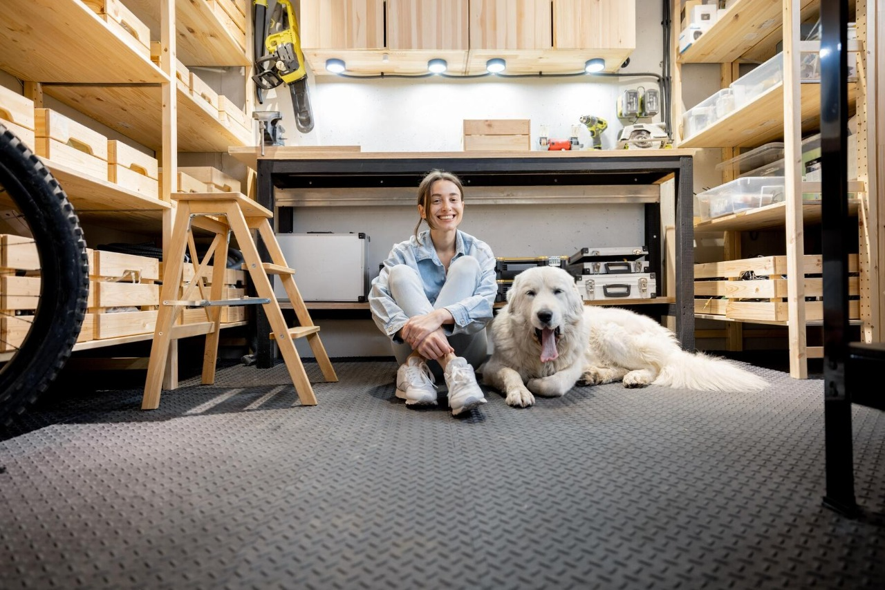 Is Ace Hardware Dog Friendly