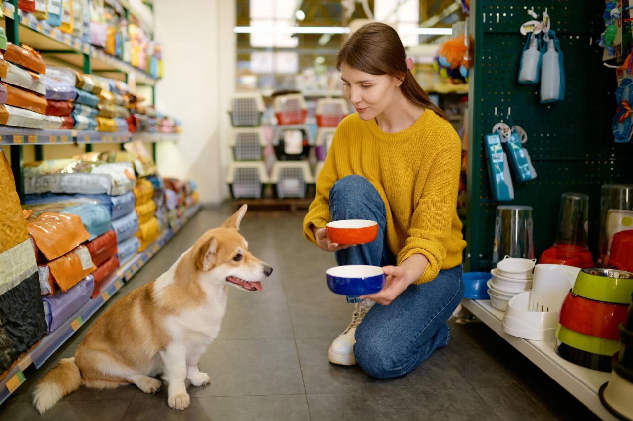 Can Dogs Go in Costco