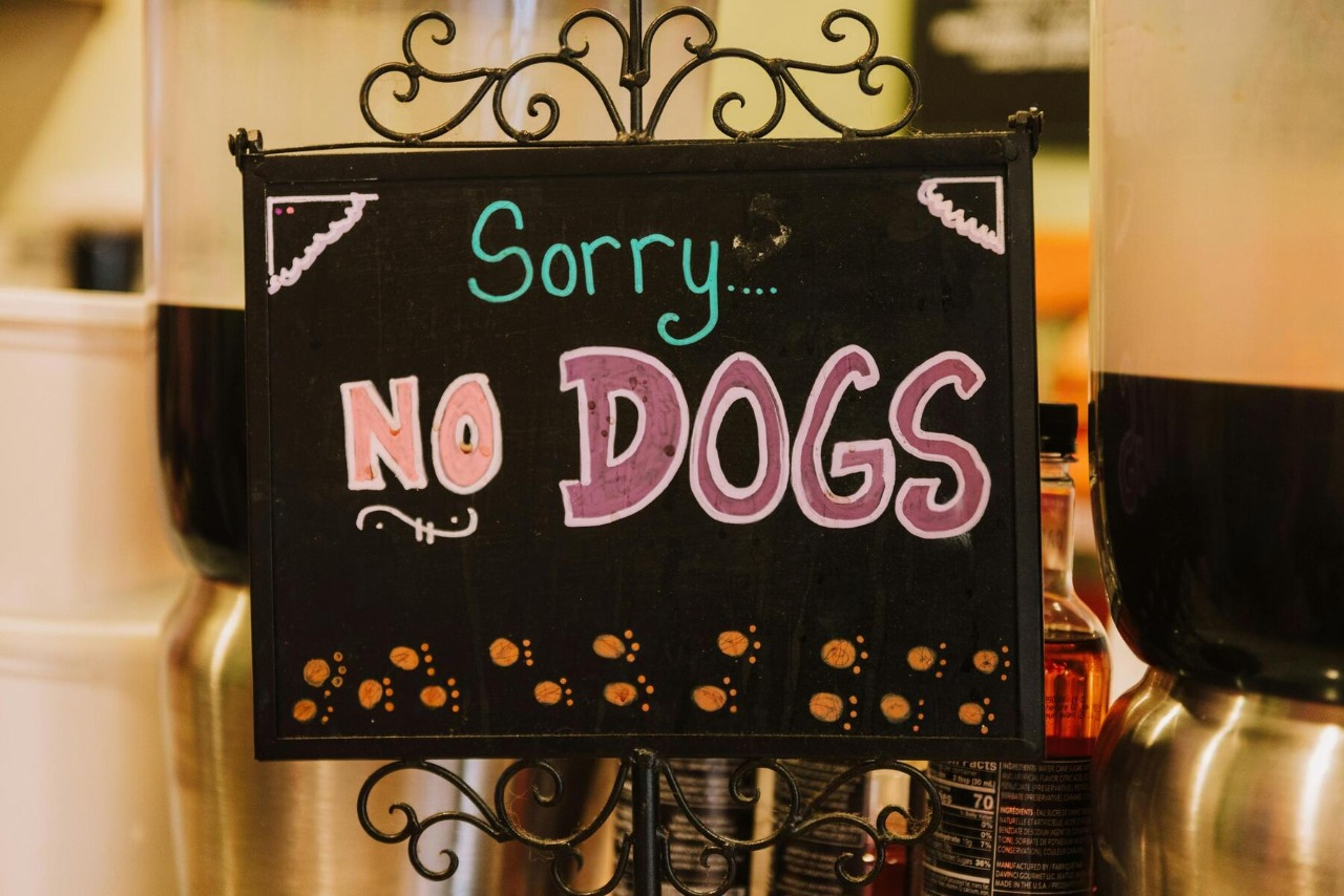 What Does Please Curb Your Dog Mean