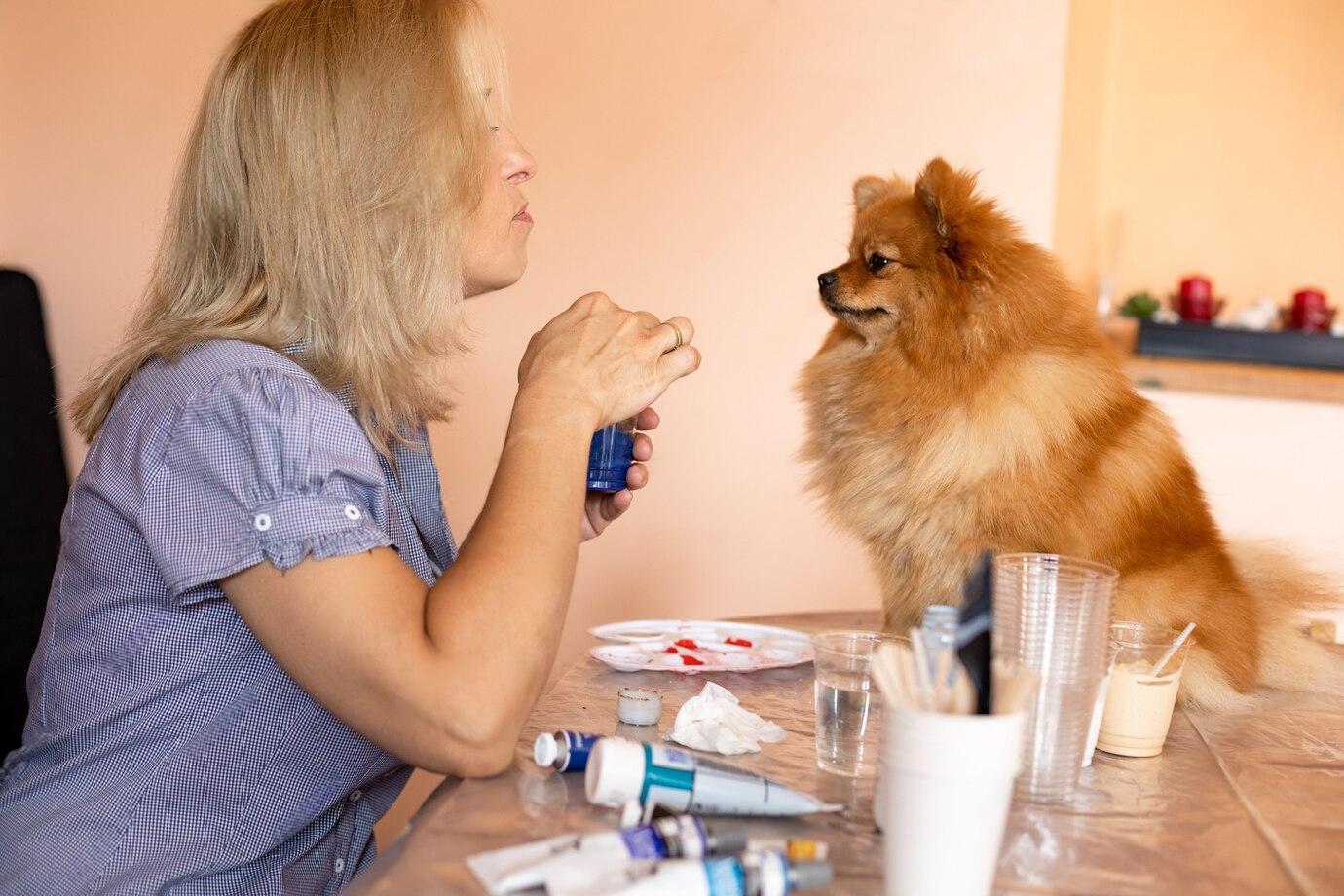 Can You Put Vaseline on a Dog's Nose