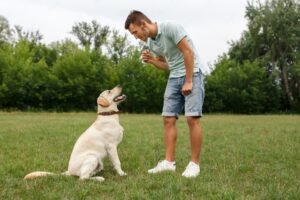 Should You Barking Like a Dog to Your Dog