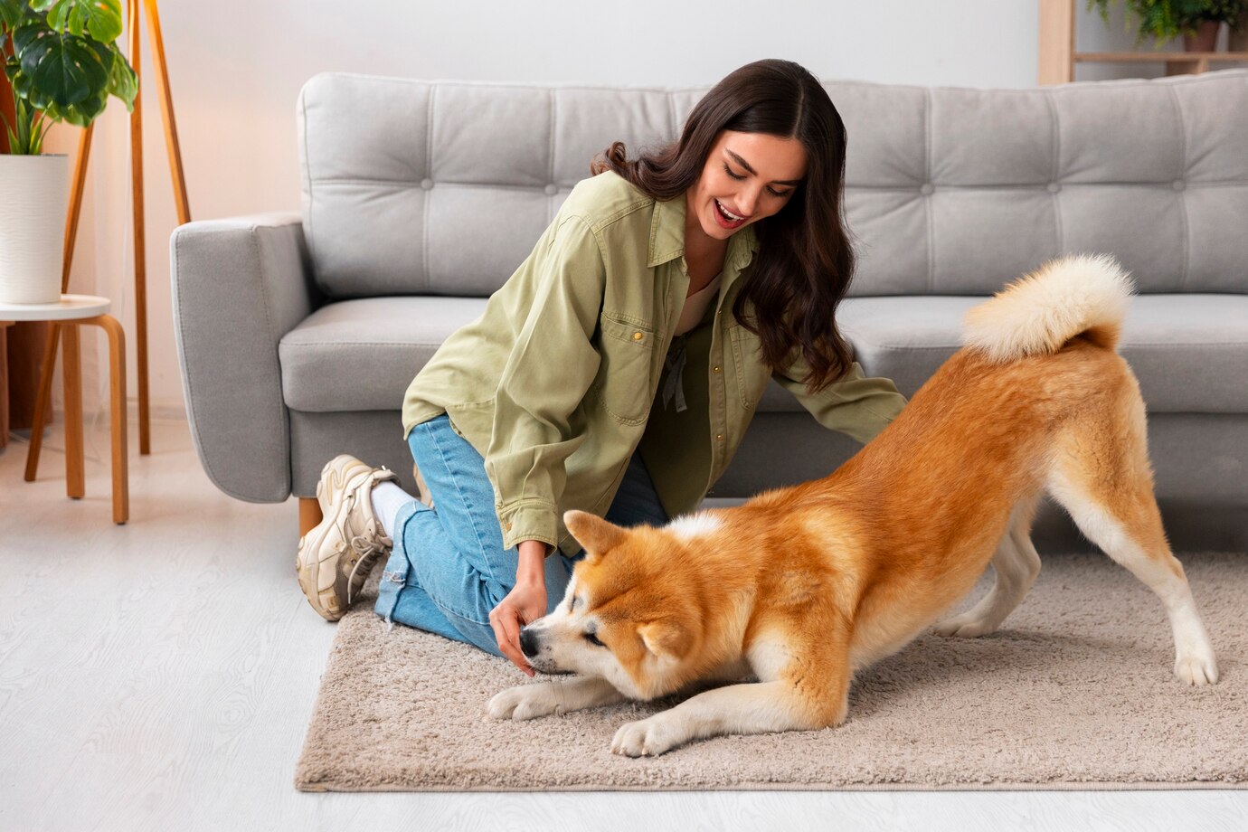 Why is Your Dog Scratching the Carpet
