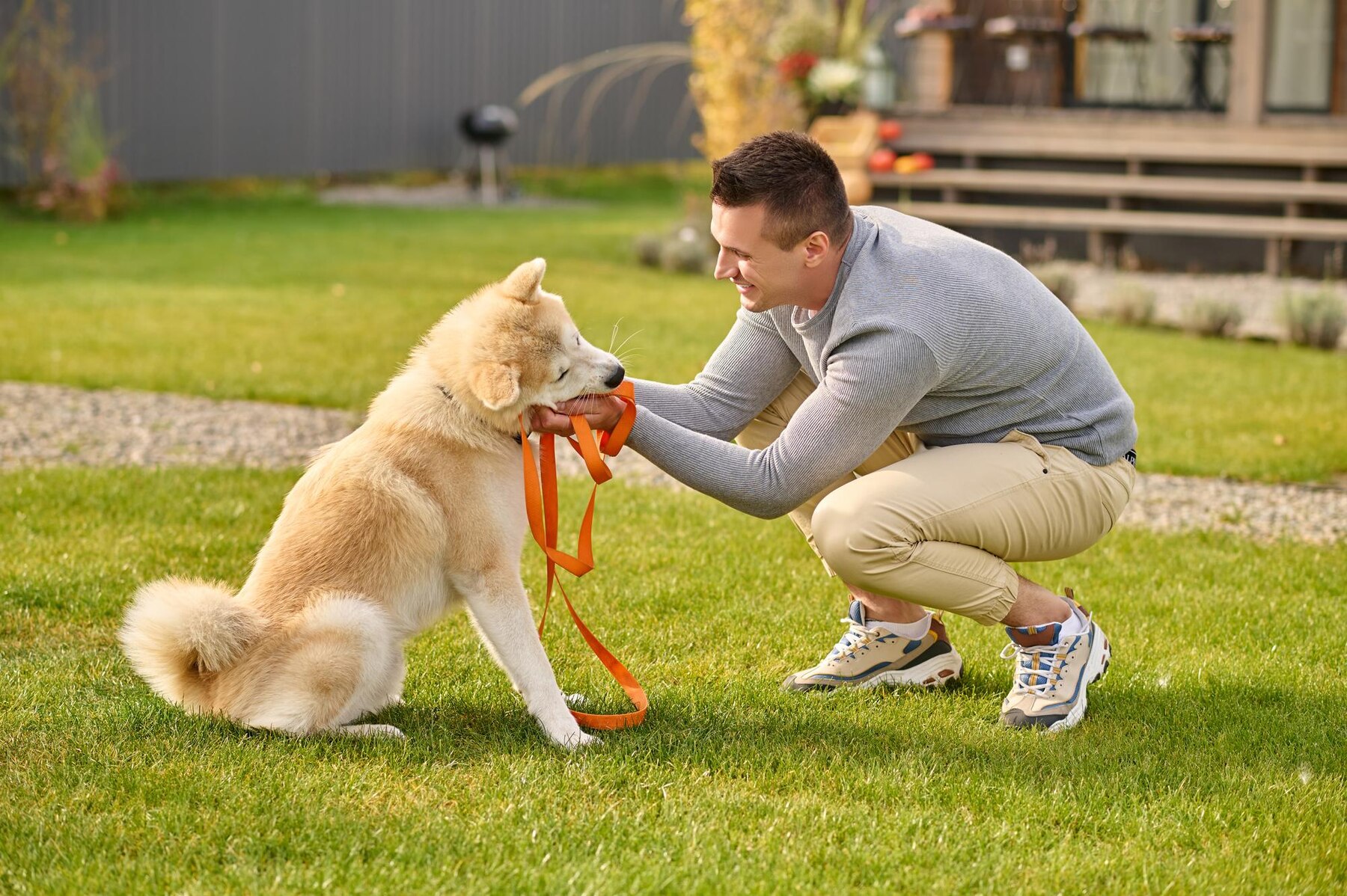 how to tire out a dog